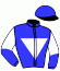 casaque portée par Salmon D. jockey du cheval de course FRIST GLORY, information pmu ZETURF