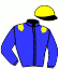 casaque portée par Berge C. jockey du cheval de course NORTHERN STARLET, information pmu ZETURF