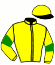 casaque portée par Huygens Mlle H. jockey du cheval de course KAMES, information pmu ZETURF