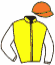casaque portée par Boutin Hug. jockey du cheval de course TRUE TEDESCO, information pmu ZETURF casaque portée par Boutin Hug. jockey du cheval de course TRUE TEDESCO, information pmu ZETURF