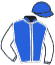 casaque portée par Ferrara Sav. jockey du cheval de course L'ANGE AIMEF, information pmu ZETURF casaque portée par Ferrara Sav. jockey du cheval de course L'ANGE AIMEF, information pmu ZETURF