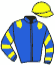 casaque portée par Madamet A. jockey du cheval de course CITY CAT, information pmu ZETURF casaque portée par Madamet A. jockey du cheval de course CITY CAT, information pmu ZETURF
