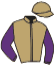casaque portée par Ploquin Pau. Ph. jockey du cheval de course MANDARINO FLEURY, information pmu ZETURF casaque portée par Ploquin Pau. Ph. jockey du cheval de course MANDARINO FLEURY, information pmu ZETURF