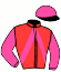 casaque portée par Piton J. Ch. jockey du cheval de course HORACE DES CHAMPS, information pmu ZETURF casaque portée par Piton J. Ch. jockey du cheval de course HORACE DES CHAMPS, information pmu ZETURF