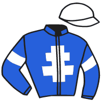 casaque portée par Ferrara Sav. jockey du cheval de course IVY METAL, information pmu ZETURF casaque portée par Ferrara Sav. jockey du cheval de course IVY METAL, information pmu ZETURF