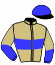 casaque portée par Barzalona M. jockey du cheval de course RICKMAN (GB), information pmu ZETURF