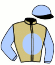 casaque portée par Martino S. jockey du cheval de course GOLDY MAKER (AQ), information pmu ZETURF