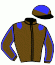 casaque portée par Roussel Ale. jockey du cheval de course BREIZH ANGEL (FR), information pmu ZETURF