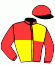 casaque portée par D' Andigne O. jockey du cheval de course ALFA DANCER (FR), information pmu ZETURF