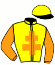 casaque portée par Julliot R. jockey du cheval de course HEICKO (FR), information pmu ZETURF