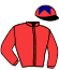 casaque portée par Lefebvre Mr C. jockey du cheval de course GAIA LUDOISE (AQ), information pmu ZETURF