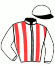 casaque portée par Planque S. jockey du cheval de course EXCALIBUR, information pmu ZETURF
