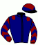 casaque portée par Riou C. jockey du cheval de course CESAR DU LEMO, information pmu ZETURF