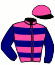 casaque portée par Justum M. jockey du cheval de course MI BONITO, information pmu ZETURF