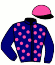 casaque portée par Roussel Ale. jockey du cheval de course WOODWIND DAVIS, information pmu ZETURF