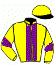 casaque portée par Meunier Gab. jockey du cheval de course JUMIRIKO, information pmu ZETURF