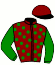 casaque portée par Alexandre Roussel jockey du cheval de course KALAMAZOO RIVER, information pmu ZETURF