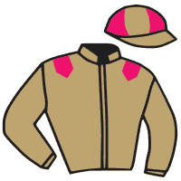 casaque portée par Marie Benj. jockey du cheval de course ASHWARI, information pmu ZETURF casaque portée par Marie Benj. jockey du cheval de course ASHWARI, information pmu ZETURF