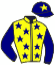 casaque portée par Duchene Med. jockey du cheval de course ARAMITZ, information pmu ZETURF