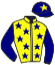 casaque portée par Duchene Med. jockey du cheval de course ARAMITZ, information pmu ZETURF casaque portée par Duchene Med. jockey du cheval de course ARAMITZ, information pmu ZETURF