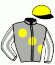 casaque portée par Paillard S. jockey du cheval de course PARA, information pmu ZETURF casaque portée par Paillard S. jockey du cheval de course PARA, information pmu ZETURF