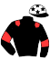 casaque portée par Caron B. jockey du cheval de course CHAMPI DE BERSY, information pmu ZETURF casaque portée par Caron B. jockey du cheval de course CHAMPI DE BERSY, information pmu ZETURF