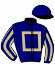 casaque portée par Guillochon J. jockey du cheval de course JORDANELLA, information pmu ZETURF