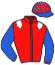 casaque portée par Besnier H. jockey du cheval de course HYPNOTIZED, information pmu ZETURF