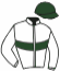 casaque portée par Riou C. jockey du cheval de course DICENTRA, information pmu ZETURF casaque portée par Riou C. jockey du cheval de course DICENTRA, information pmu ZETURF