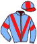 casaque portée par Carre Dor. jockey du cheval de course SERBER, information pmu ZETURF casaque portée par Carre Dor. jockey du cheval de course SERBER, information pmu ZETURF