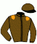 casaque portée par Lecoeuvre C. jockey du cheval de course VIOU, information pmu ZETURF casaque portée par Lecoeuvre C. jockey du cheval de course VIOU, information pmu ZETURF