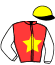 casaque portée par Manceau E. jockey du cheval de course NEPTUNE DIVINE, information pmu ZETURF
