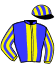 casaque portée par Le Gland Mlle C. jockey du cheval de course MONDAINAI, information pmu ZETURF