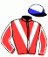 casaque portée par Claudic J. jockey du cheval de course DAYAK, information pmu ZETURF