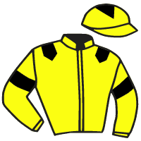 casaque portée par Dubourg K. jockey du cheval de course PERFECT TRIO, information pmu ZETURF