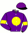 casaque portée par Renard A. jockey du cheval de course SANTANA BEACH, information pmu ZETURF