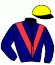 casaque portée par Lefebvre Mr C. jockey du cheval de course JEWEL STAR, information pmu ZETURF