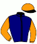 casaque portée par Rochard B. jockey du cheval de course GOLDEN DU BOURG (FR), information pmu ZETURF