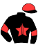 casaque portée par Auvray J. jockey du cheval de course DEESSE DU CHERISAY (FR), information pmu ZETURF
