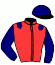 casaque portée par Cancouet Ant. jockey du cheval de course FOREVER DES NOELS (FR), information pmu ZETURF
