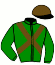 casaque portée par Babin J. M. jockey du cheval de course DIALO DES KECHES, information pmu ZETURF