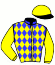 casaque portée par Bazire N. jockey du cheval de course JERO DE PHYT'S, information pmu ZETURF casaque portée par Bazire N. jockey du cheval de course JERO DE PHYT'S, information pmu ZETURF