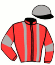 casaque portée par Ploquin Pau. Ph. jockey du cheval de course HAURORE, information pmu ZETURF casaque portée par Ploquin Pau. Ph. jockey du cheval de course HAURORE, information pmu ZETURF