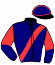 casaque portée par Lamy R. jockey du cheval de course KASPAROVA, information pmu ZETURF casaque portée par Lamy R. jockey du cheval de course KASPAROVA, information pmu ZETURF