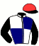 casaque portée par Giard F. jockey du cheval de course ISSU DE CORTEM, information pmu ZETURF casaque portée par Giard F. jockey du cheval de course ISSU DE CORTEM, information pmu ZETURF