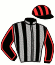 casaque portée par Belmont Cés. jockey du cheval de course POLYPHONY, information pmu ZETURF