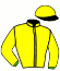 casaque portée par Van Dooyeweerd J. jockey du cheval de course GIVE YOU ALL OF ME (FR), information pmu ZETURF