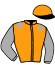 casaque portée par Joseph F. jockey du cheval de course FOGO PICO (FR), information pmu ZETURF