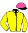 casaque portée par Maillot S. jockey du cheval de course CAPRICE DES DIEUX, information pmu ZETURF