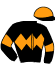 casaque portée par Chailloleau M. jockey du cheval de course KING THOU LEZ, information pmu ZETURF casaque portée par Chailloleau M. jockey du cheval de course KING THOU LEZ, information pmu ZETURF